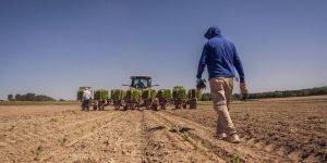 Agriculture needs more than a voice—it needs a long-term vision