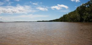 Why safe water is still lacking in the Marajó Archipelago, one of the world’s most water‑abundant regions