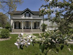 Bell Letters: Alec tells mother delay home is not from lack of affection