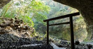 Japanese botanist found the secret to reforestation in ancient shrines. The results were undeniable.