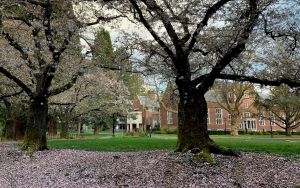 Portland’s Reed College agrees to sweeping reforms as part of antisemitism settlement