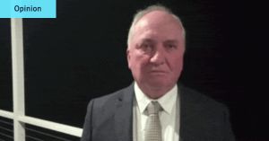 Why Barnaby barking at his dog was a political masterstroke