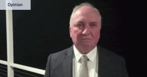 Why Barnaby barking at his dog was a political masterstroke