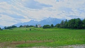 Vigneti nel Bellunese, oltre mille firme contro le nuove coltivazioni: scoppia il caso dei trattamenti senza avvisi