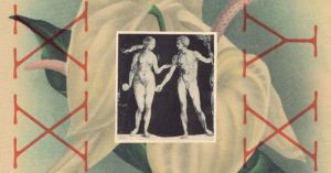 Ignoring sex differences harms us all