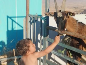 Tzur Misgabi – Strengthening Jewish Life in Judea