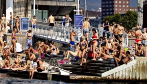 Splitternordmenn