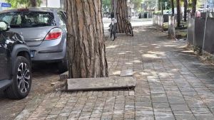 Crepe e radici spaccano le piste ciclabili a Jesolo: «Noi disabili penalizzati»