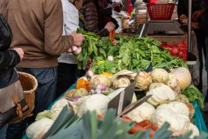 Le prix des légumes s’envole de 10 % : une facture salée pour les consommateurs et des producteurs étranglés