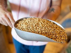 Bjorn Lomborg: Climate change isn't taking food off your table