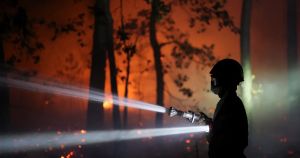 Incendies : l’accessibilité, talon d’Achille du massif de Fontainebleau