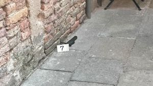 Rialto, rapina con pistola alla Snai: si cerca un uomo