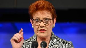 Hanson’s version of domestic violence is too simplistic and corrosive