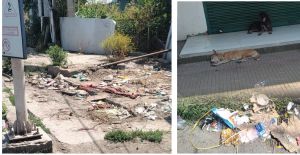 Sanitation distress in rural hamlets