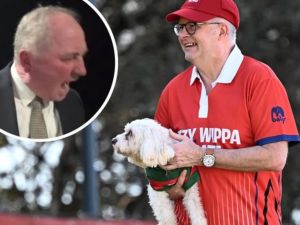 Politics a dog’s life? That’s just a load of puppaganda