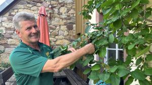 Profi-Gärtner rät: Diese Pflanzen sind für heiße Sommer im Schwarzwald erste Wahl