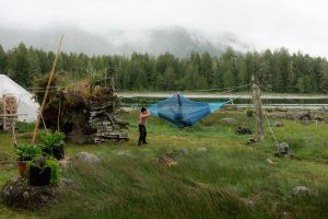 Searching for the real Tofino