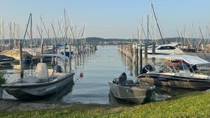 Wegen Niedrigwasser! Kein Schiffsverkehr zum Reichenauer Wein- und Fischerfest