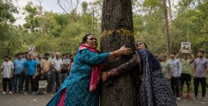 When a Highway Threatened Dehradun’s 100-YO Sal Trees, Residents Brought Back the ‘Chipko’ Spirit
