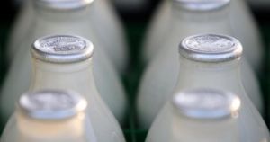 Urgent recall for milk sold in Norfolk over antibiotic contamination