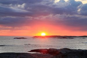 Arne Andreas Hauger (1947-2026) til minne