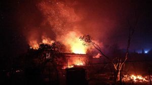 Waldbrände in Südeuropa: Auch wir werden zur Feuerregion