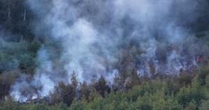 Seven fire crews fight huge woodland blaze for almost 24 hours