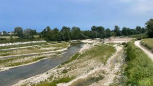 Il Piave non mormora più: ridotto a rivoli d'acqua tra prelievi idrici e risalita del mare