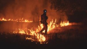 « Les feux sont sur le point de fusionner » : la région de Madrid sous « état d’urgence » et cernée par des incendies incontrôlables