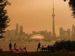 SNOBELEN: Americans can't see the forest for the trees