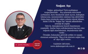 Soğan Aşı