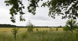 Could a new town or garden village for Norfolk be back on the cards?