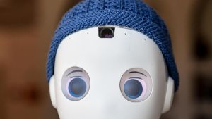 Die Menschheit verliert, wenn sie die Pflege der KI überlässt