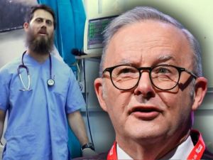 Credlin: Terrorism is real – yet Albo does nothing