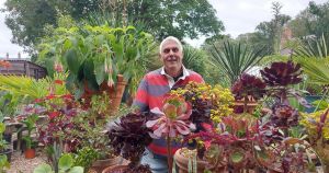 Tourists flock to county's tropical paradise as summer season begins