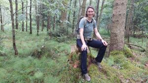 Der Wald als Kraftquelle