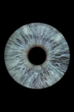 Who wears computer vision?