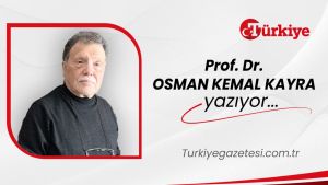 Farklı bir Tanzîmâtçı: Ziyâ Paşa