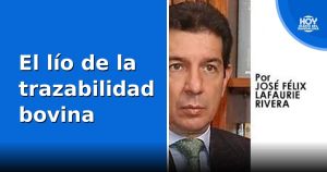 El lío de la trazabilidad bovina