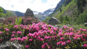 Il rapporto tra madre e figlia tra viaggio e memoria. E Virginia Woolf
