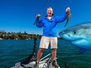 The one question experts can’t answer on shark attacks