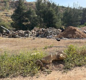 Four Lost Years: The Government That Abandoned Israel’s Environment