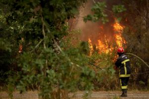 Incendie en Gironde : 42 000 hectares de « surface brûlée », le feu menace Bordeaux