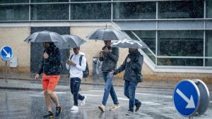 DMI advarer: Kraftig regn og torden på vej