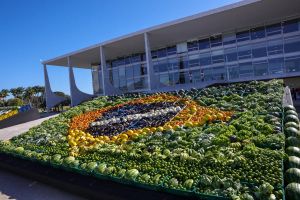 Dietas saudáveis para todos: os 5 caminhos da experiência brasileira