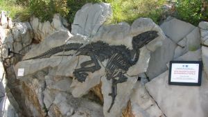 Dinosauri al Villaggio del Pescatore, uno studio svela l’enigma che dura da decenni