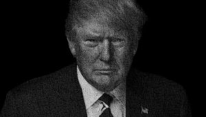 Trump's campaign against progressives