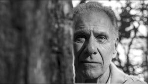 Em busca de Domingos Pellegrini: o escritor e o seu tempo