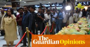 Sweet, fragrant, impossible to resist – south Asian mangoes in Australia’s winter summon memories and unite historic enemies