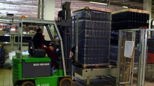 Vino, allarme giacenze in Oltrepò: «Si rischia un ribasso dei prezzi»